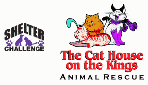 cathouse_03