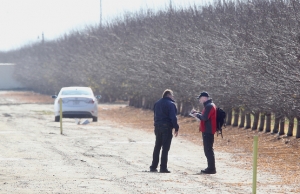 A National Transportation Safety Board investigator takes notes as he interviews a man near the site of an airplane crash in an almond orchard near Panama Lane west of Allen Road southwest of Bakersfield, Calif., on Sunday, Dec. 20, 2015. The crash occurred late Saturday afternoon, killing all five people onboard. (Henry Barrios/The Bakersfield Californian)