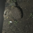 Family Finds Grenade Inside Fresno Garage