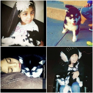 PUPPY STOLEN