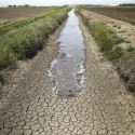 Gov. Newsom Adds Central Valley to Drought Emergency Proclamation