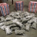Deputies Seize 66 Pounds of Pot During Traffic Stop