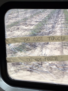 amtrak-window2