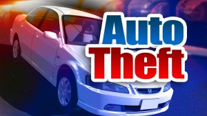 AUTO THEFT
