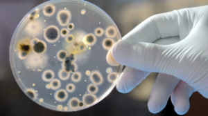 COLIFORM IN WATER