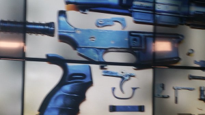 RAYMOND GONZALEZ  GUN