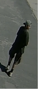 STOLEN CAR - SUSPECT