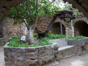 underground-gardens