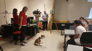 3D SCANNER
