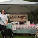 Lab Rescue’s Tent Stolen During Clovis Big Hat Days Event
