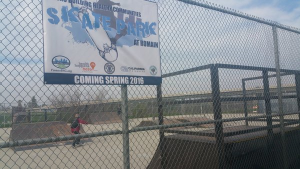 SKATER PARK 3