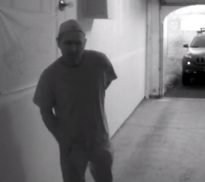 BURG SUSPECT 3