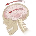 CDC: Millions of Kids Suffer Concussions Each Year, Many Go without Treatment