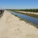 Dog Attack May Have Led to Drowning