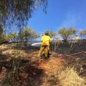Caltrans To Clear Dry Brush Along Fresno Freeways