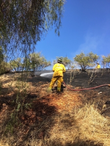 FIRE BRUSH