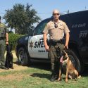New K9’s At Madera County Sheriff’s Office