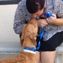 Adopt a Pet at the Big Fresno Fair