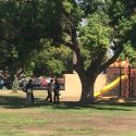Olivier To Put Forth Parks Clean-Up Proposal