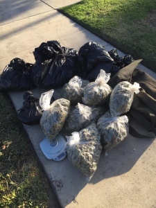 marijuanabags-002