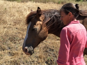 horse-and-woman