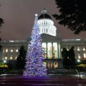 California Preps For State’s Christmas Tree Lighting Ceremony