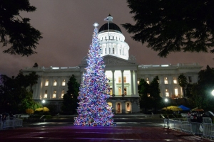 christmas-tree