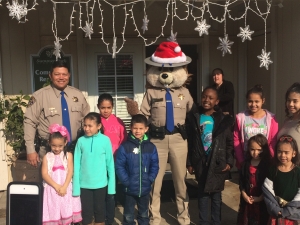chp toys 2