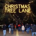 Christmas Tree Lane to Open Saturday