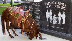 Image courtesy of Fresno County Sheriff's Office