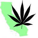 Recreational Pot Banned In Tulare County Until December 2018