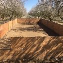 Cockfighting Stopped By Madera Sheriff’s Office